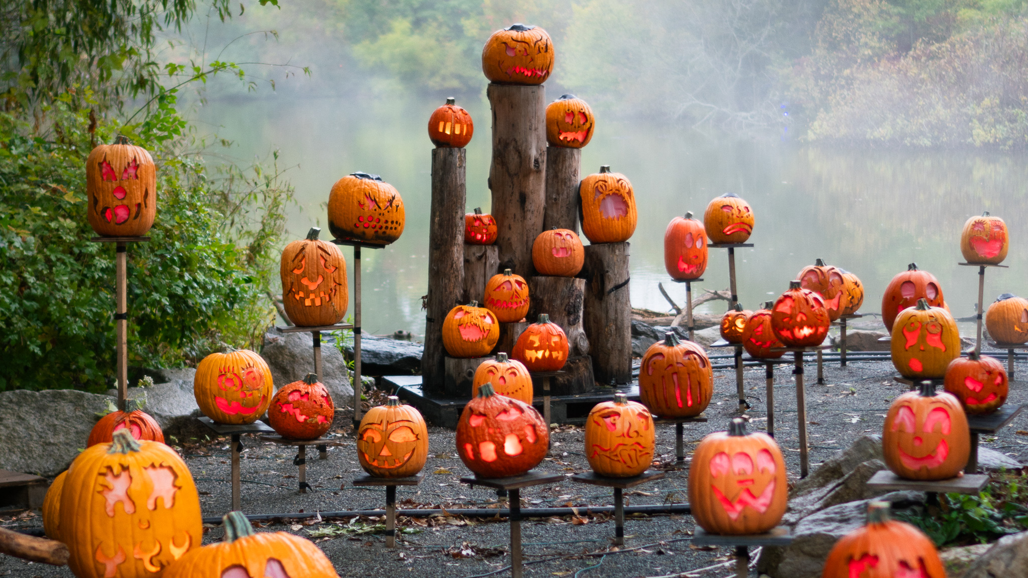 Kids Enjoy a Fun-Filled Night at the Jack-O-Lantern Spectacular Launch